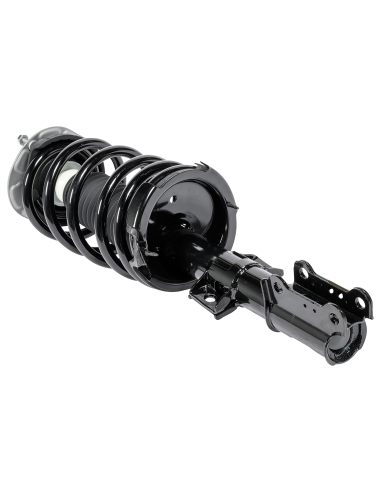 Amortyzator + sprężyna - kolumna...